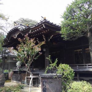 白山神社（文京区）拝殿、斜めから